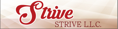STRIVE L.L.C.